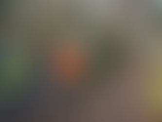 Feuerwehr Flotwedel: Anlaufstelle für Helfer in Eicklingen