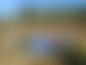 36 Kinder der Lerchenschule aus dem Landkreis Celle unterstützen den NLWKN bei Pflegeeinsatz