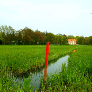 Dammaschwiesen in Celle mit Thaers Garten.