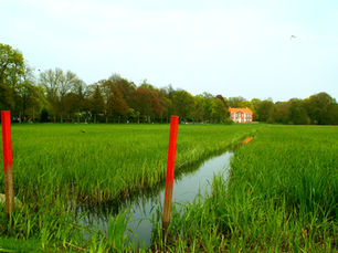 Dammaschwiesen in Celle mit Thaers Garten.