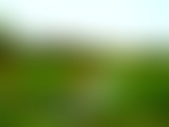 Dammaschwiesen in Celle mit Thaers Garten.