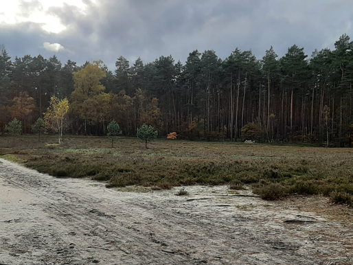 Hand -und Spanndienst der Dorfgemeinschaft Winsen