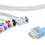 Thumbnail: Nihon Kohden Compatible Disposable ECG 6 Lead (Grabber) - NK-BR-906PA-DP