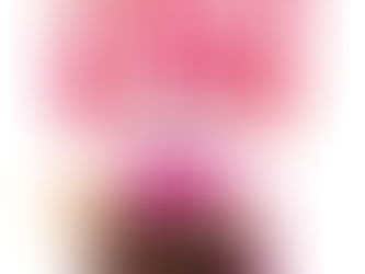 Image of Legally Blond the Musical with chihuahua and pile of legal books