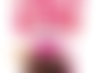 Image of Legally Blond the Musical with chihuahua and pile of legal books