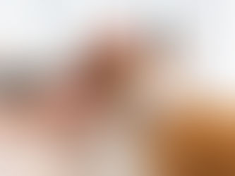 The Unwritten Rules of Living With a Cat