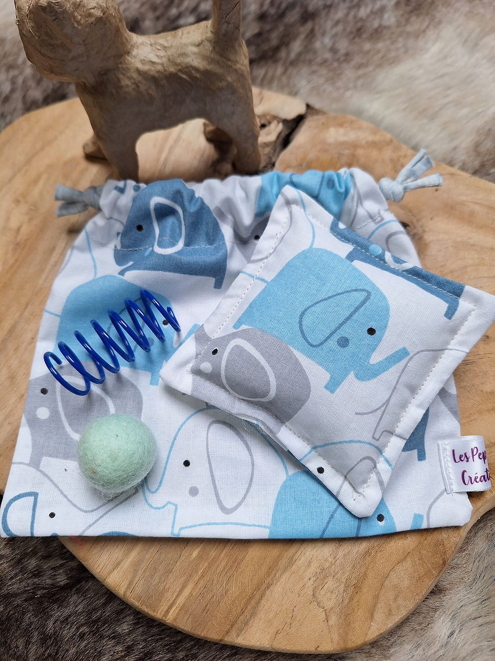 Thumbnail: Adventure in a Bag: The Ultimate Kitty Play Kit