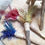 Thumbnail: Broom Of Feathers