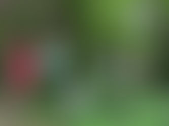 神のタレと姫神山