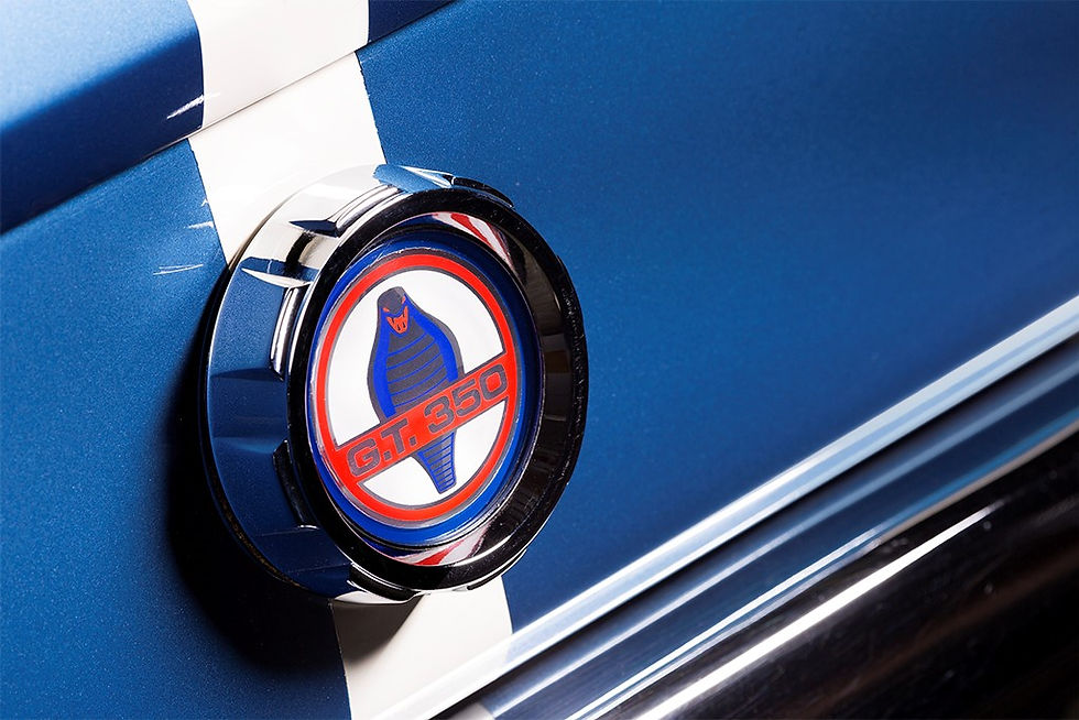 Shelby Tail Panel.jpg