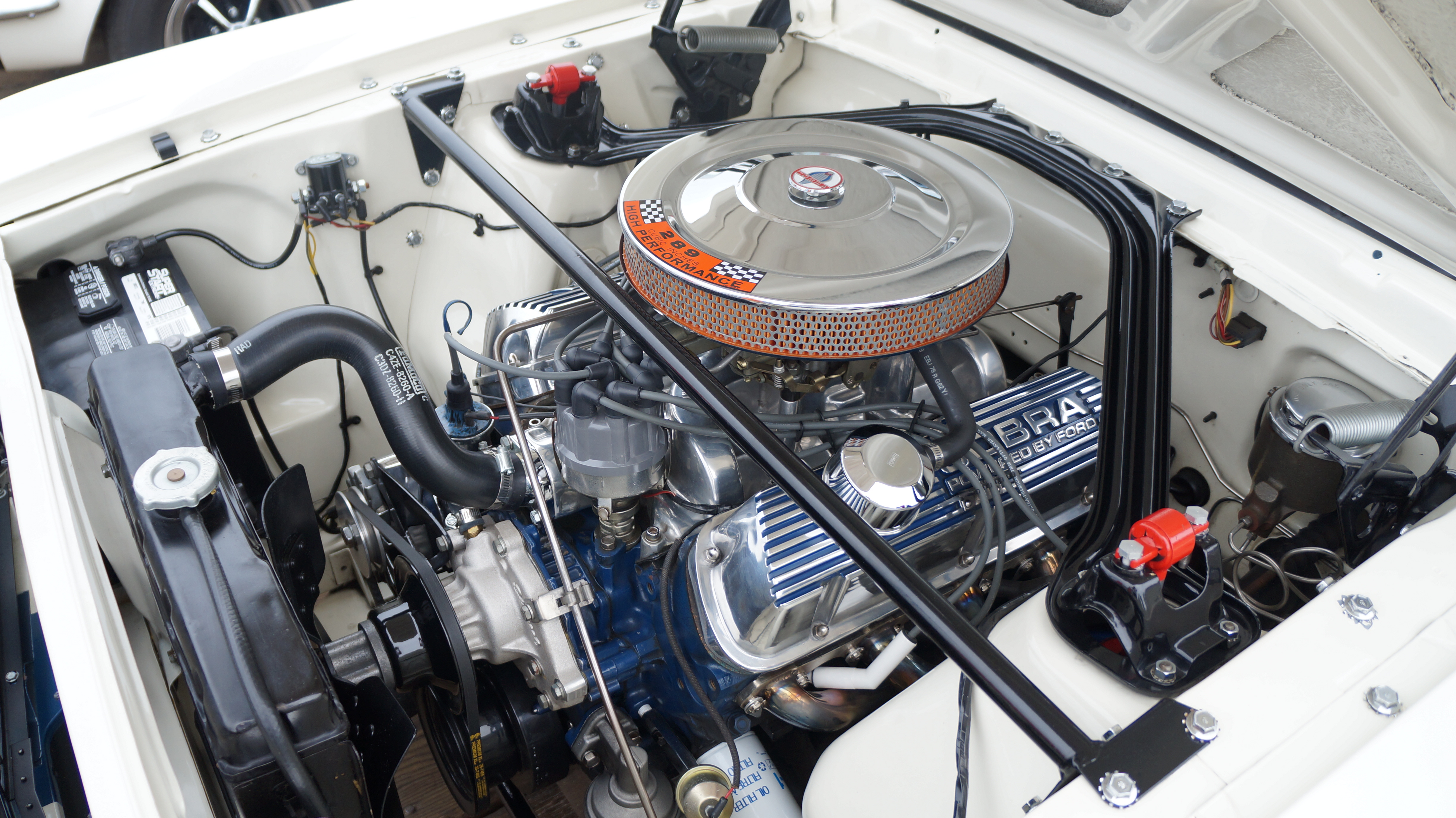 Shelby 289 Engine