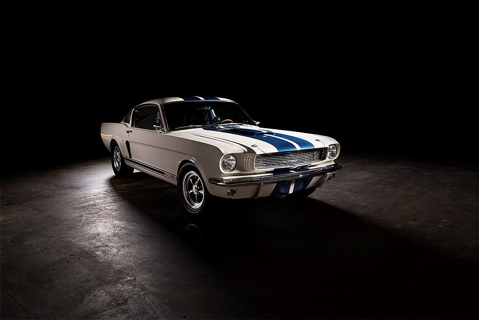 Shelby Front View.jpg
