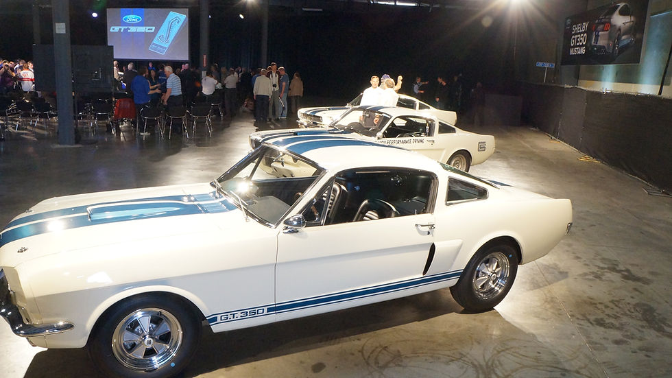 Shelby Reveal - The Ancestors
