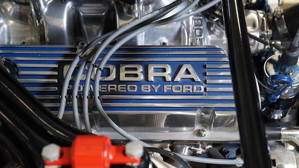 Cobra valve cover