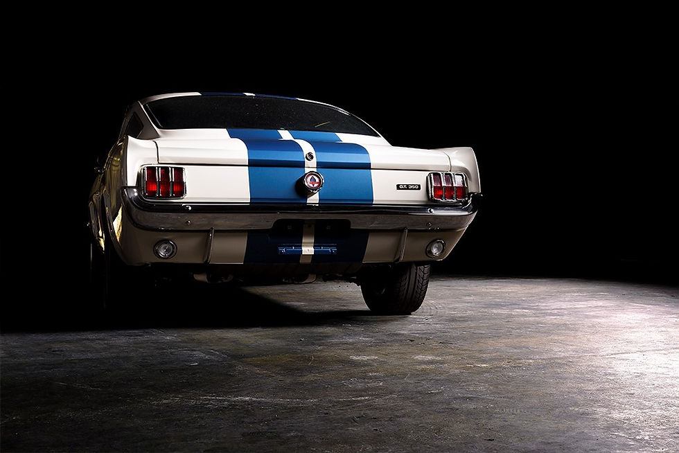 Shelby Rear.jpg