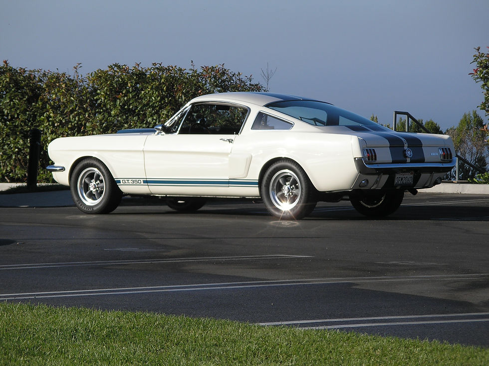 At the Palos Verdes Concours