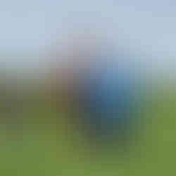 girl riding a horse while man leads