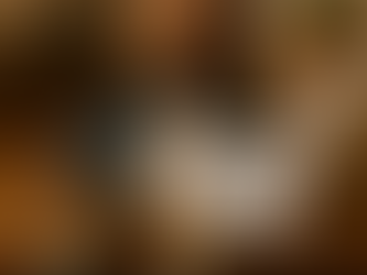 The American Counselors Association (ACA) Code of Ethics