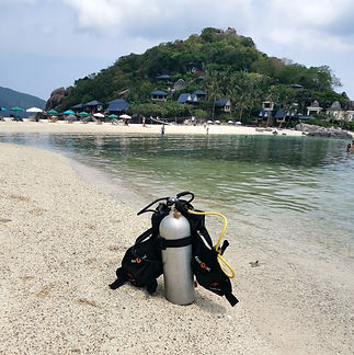 дайвинг на ко тао