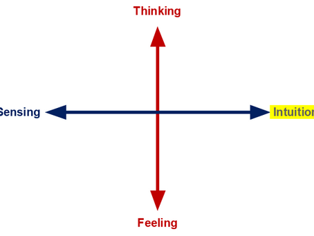 INTUITIEVE VERKOPER: Hoe Verkopen en Hoe als Manager deze Verkoper Managen?