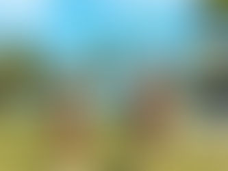 3 GREAT Outdoor Games for the Family