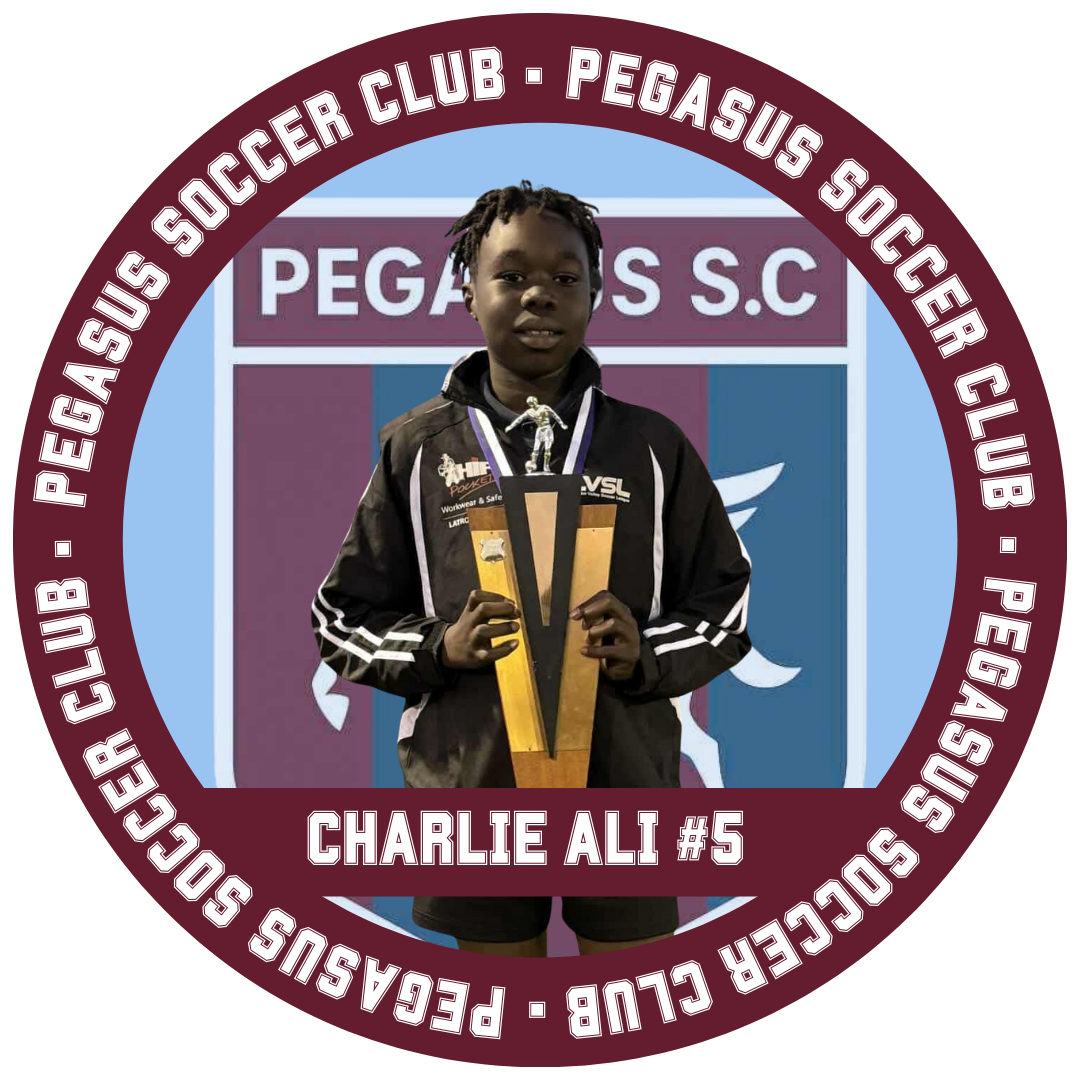 Charlie Ali
