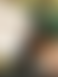 Amantes da obra de Jane Austen comemoram 250 anos da autora em Chá das 5h imersivo na cultura britânica