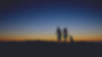ROINIGHTS FONDO PERRO SIN LOGO CENTRADO.jpg