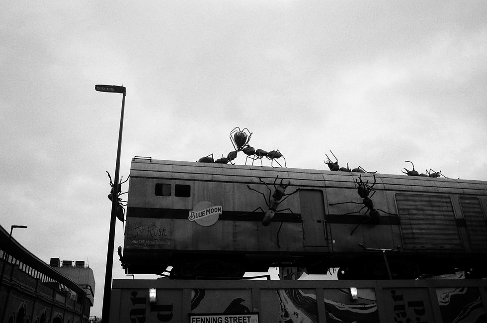 image00023.jpeg