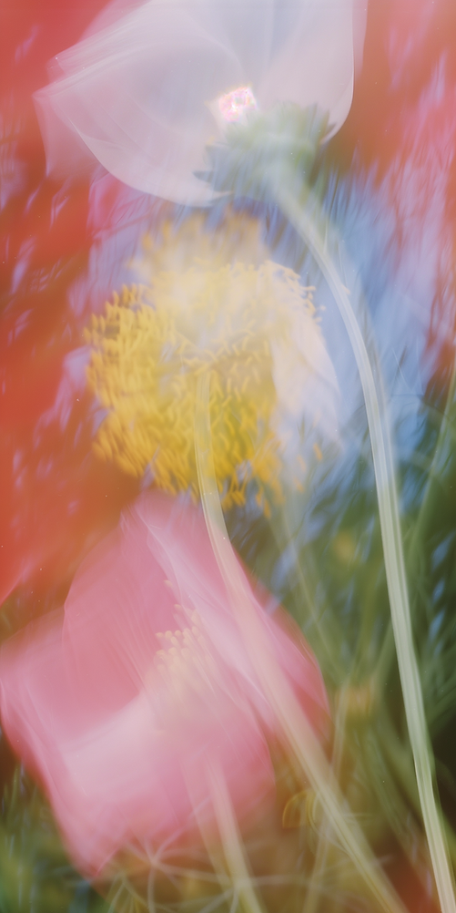 Dreamy Floral Abstract (2).png