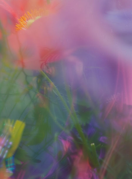 Dreamy Flower Garden (1)_edited.jpg
