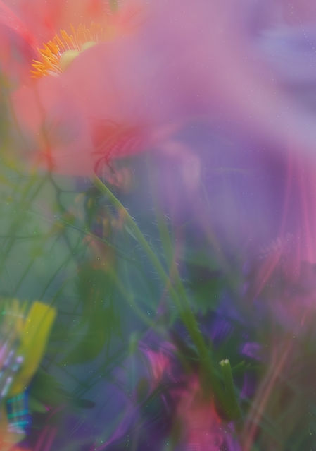 Dreamy Flower Garden (1)_edited.jpg