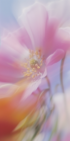 Dreamy Pink Flower.png