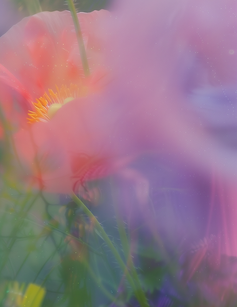 Dreamy Flower Garden (1).png