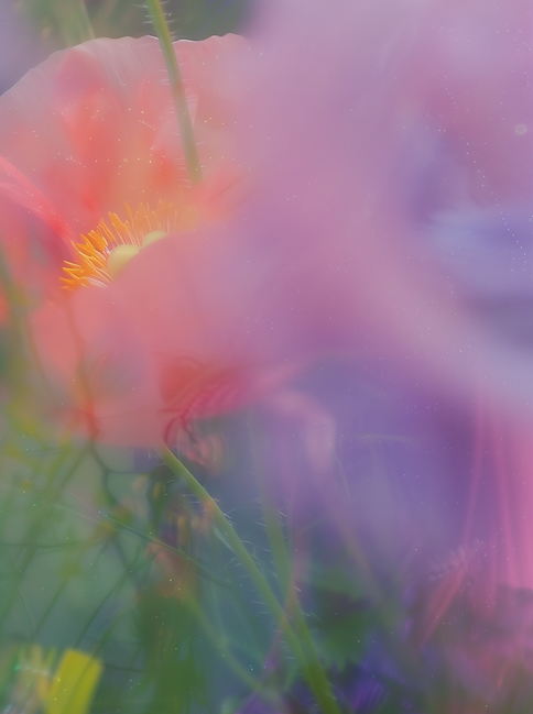 Dreamy Flower Garden (1).png