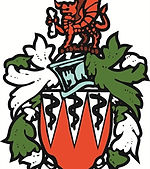 Cardiff Medicals RFC.jpeg