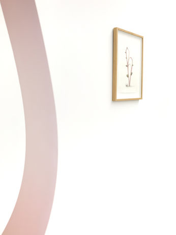 installation_view_geotropism_johan_gelper_v_msp_gallery_02.jpg.jpg