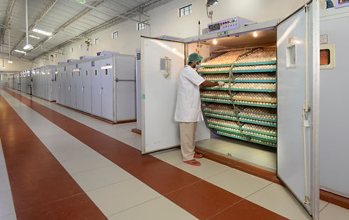 WhatsApp Image 2025-01-31 at 5.32.52 PM (1).jpeg