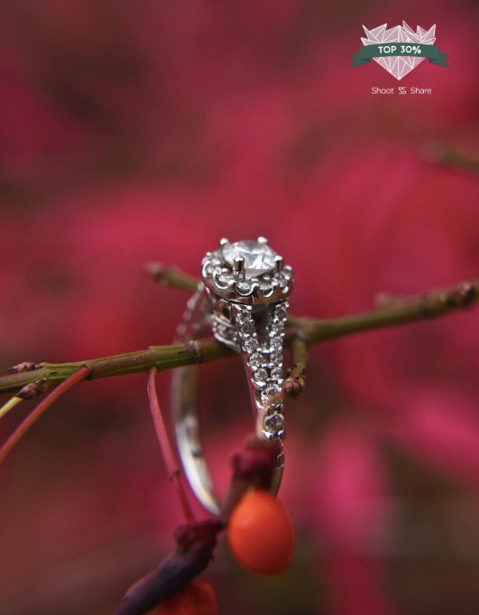 Award Winning Indiana Indianapolis Lafayette Wedding Photographer Photography
