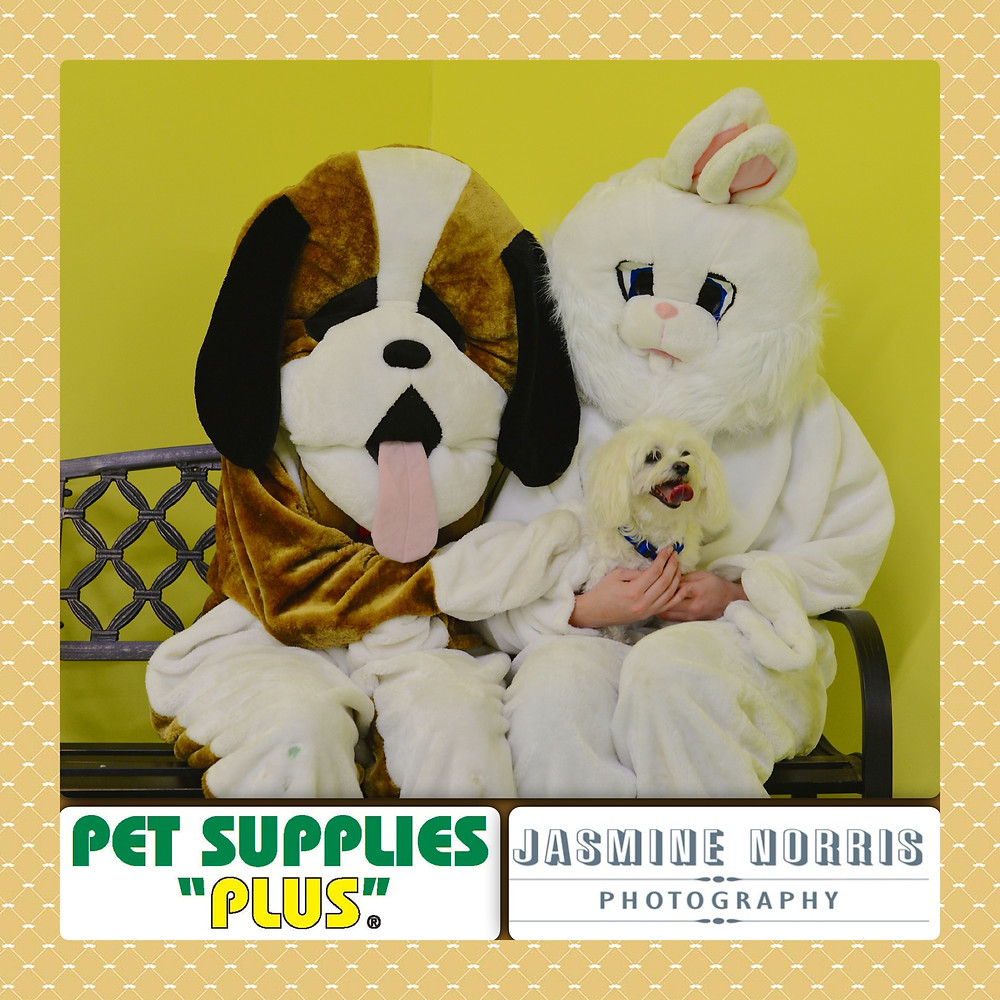 Pet Supplies Plus Holiday Pet Portraits Easter Lafayette Indiana