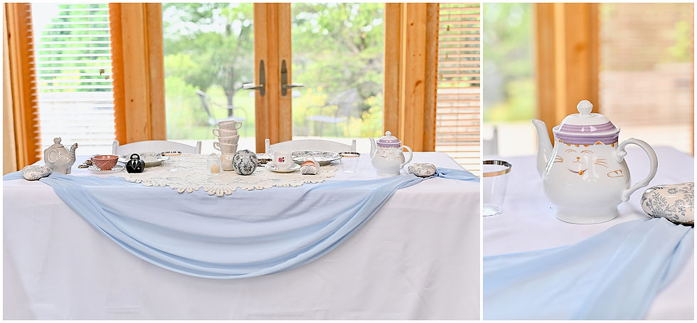 Deer Park Manor Wedding Bloomington Indiana Photographer Photography