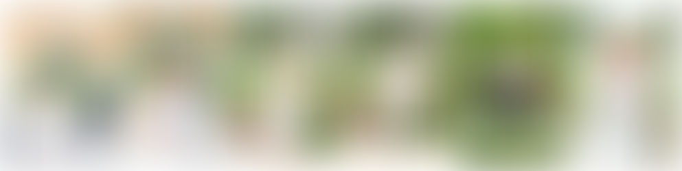 Noblesville Indiana Wedding Seminary Park: Erica & Victor