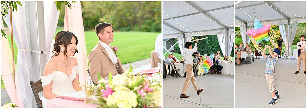 Ambassador House Wedding Fishers Indiana Photographer Photography Indianapolis