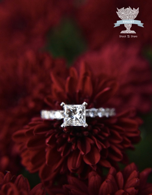 Award Winning Indiana Indianapolis Lafayette Wedding Photographer Photography