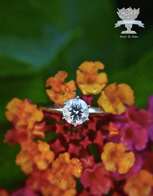 Award Winning Indiana Indianapolis Lafayette Wedding Photographer Photography