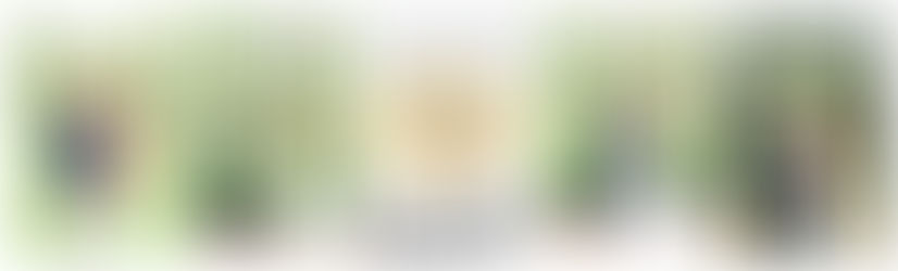 Black Iris Estate Indianapolis Indiana Wedding: Madeline & Matthew