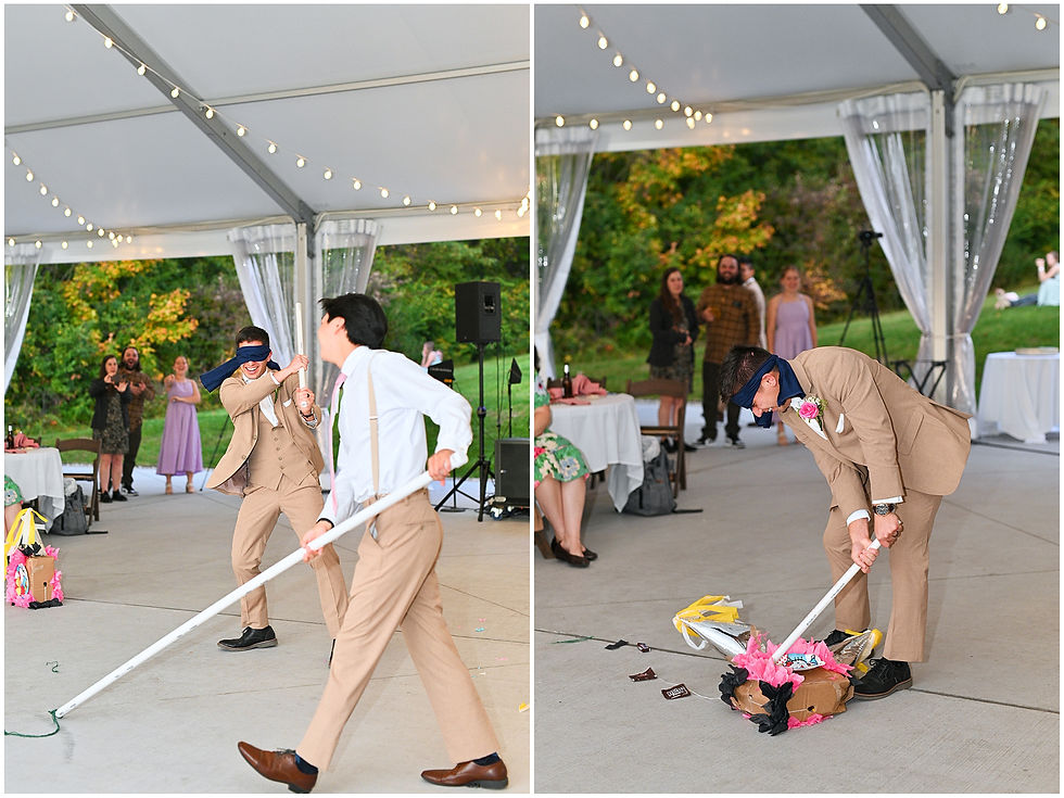 Ambassador House Wedding Fishers Indiana Photographer Photography Indianapolis