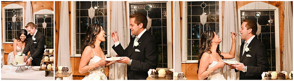 Avon Gardens Wedding Indianapolis Indiana Photographer Photography