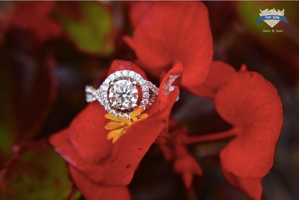 Award Winning Indiana Indianapolis Lafayette Wedding Photographer Photography