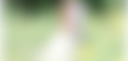 Tips For Whitening Your Teeth Before The Wedding: Wedding Wednesday